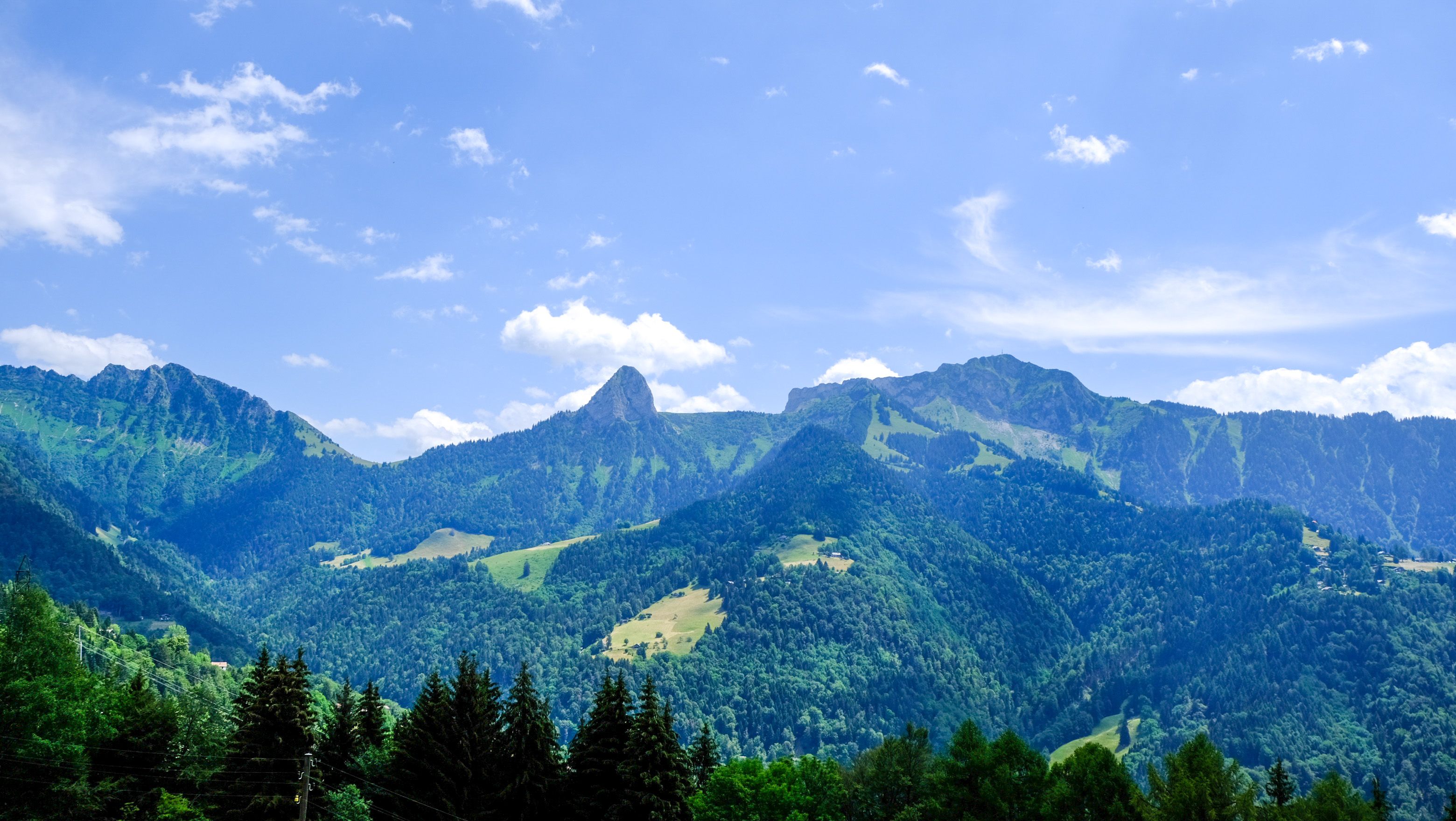 Sentier-des-narcisses-466059ec-6799f2529be15.jpg